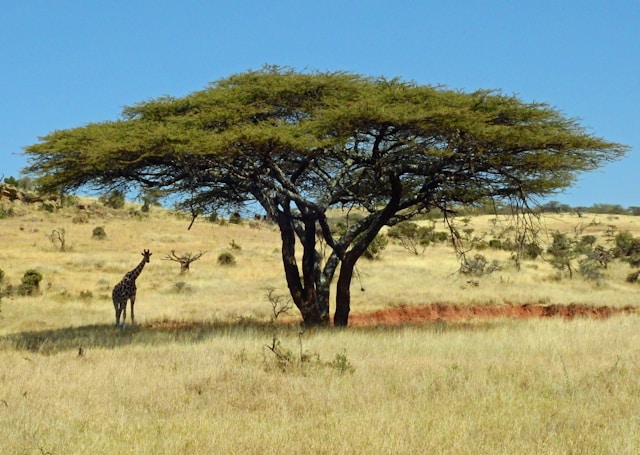 National Geographic Expeditions